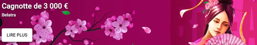 Tournez et Gagnez avec les Free Spins chez Leon Casino