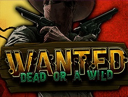 Wanted Dead or a Wild