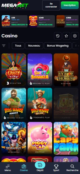 Jouer Maintenant Sérieux Jeux au Mega Bet Casino en Ligne