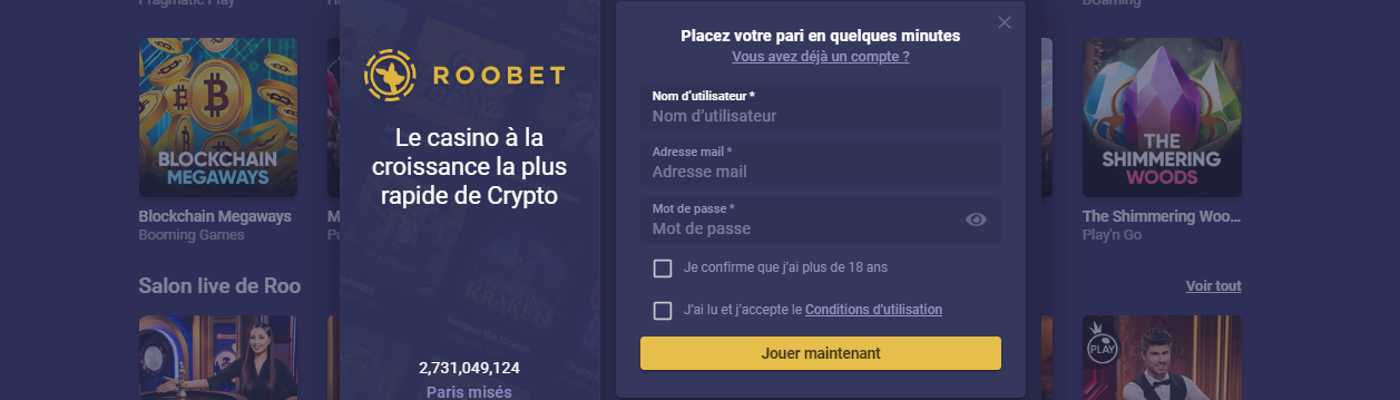 Connexion à Roo-Bet en Ligne pour les Joueurs Français