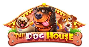 Meilleur The Dog-House Slot pour le Plaisir